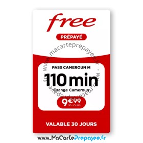 PASS Free International Cameroun 10 | Pour appeler vers le Cameroun